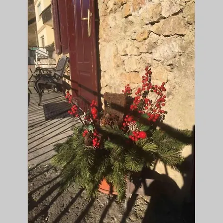 شقة A Casa Di Anto Una Coccola In Montagna Dosoledo