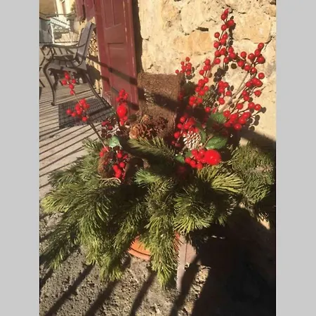 A Casa Di Anto Una Coccola In Montagna *