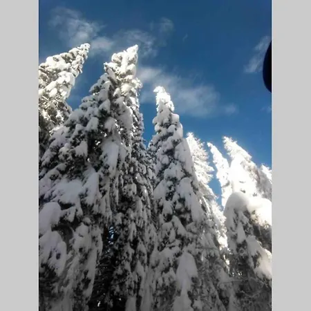 A Casa Di Anto Una Coccola In Montagna شقة Dosoledo