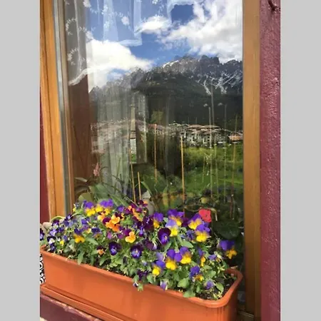 شقة A Casa Di Anto Una Coccola In Montagna Dosoledo